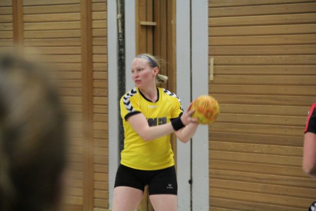 2016_01_23 Landesliga Frauen